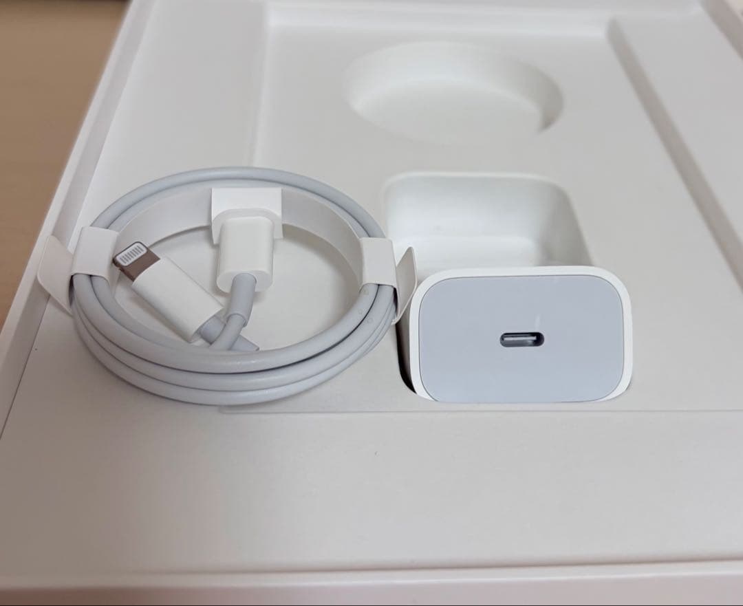 【大容量256GB】iPad 第9世代 Wi-Fi シルバー 付属品完備＋おまけ