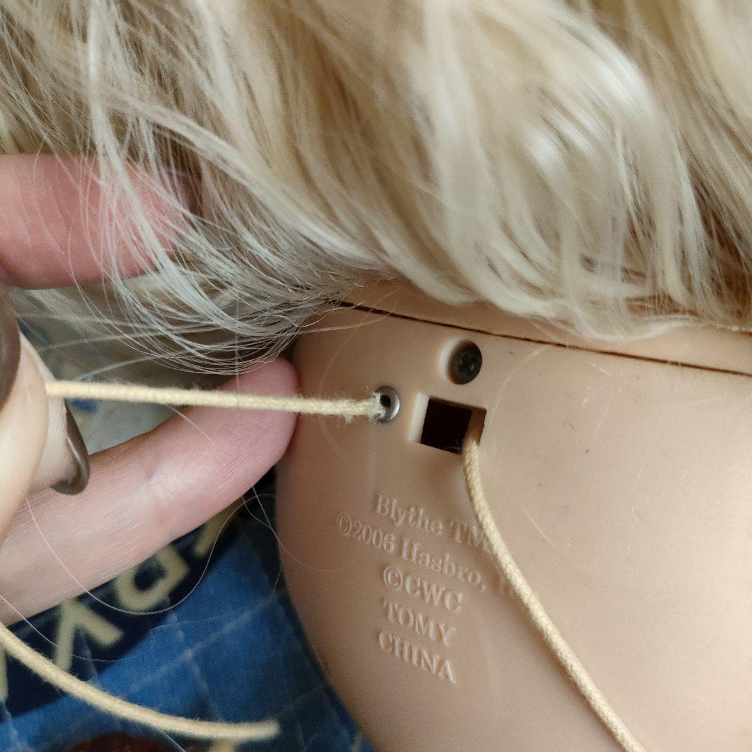 ブライス・カスタム【近日中に出品終了予定】