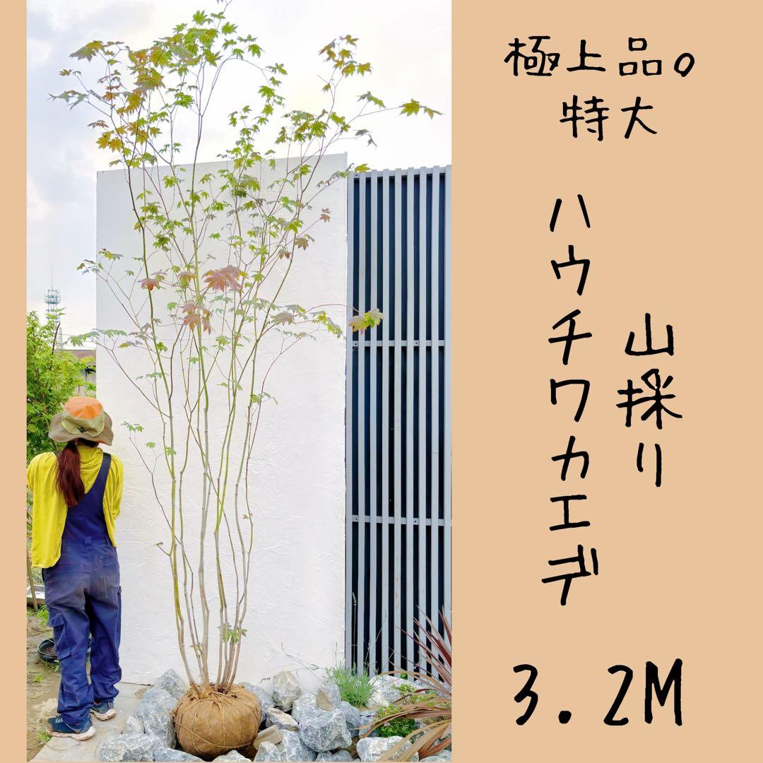 shirou34リクエスト3点