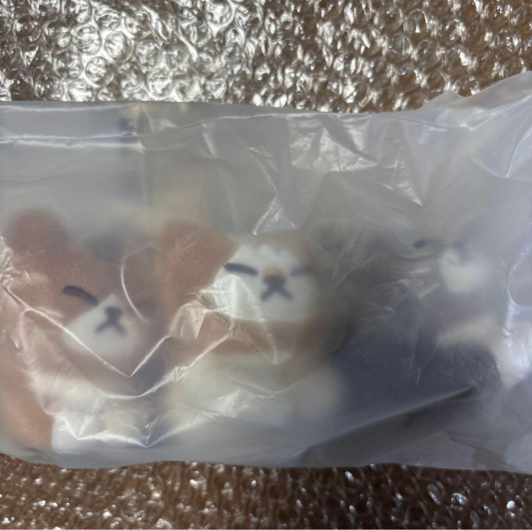 straykids popup リノ メンプロ キーリング