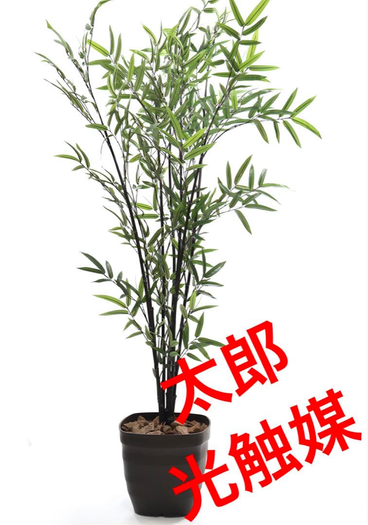 光触媒　人工観葉植物　ウォールグリーン　フェイクグリーン　黒竹190センチ