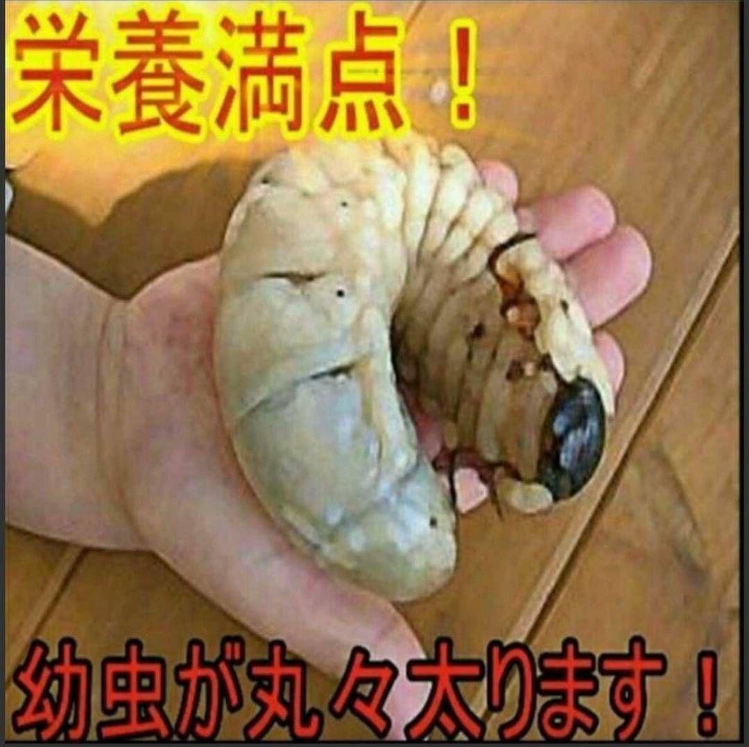 カブトムシ幼虫が大きくなる！発酵マット【90リットル】保存に便利なチャック付き袋