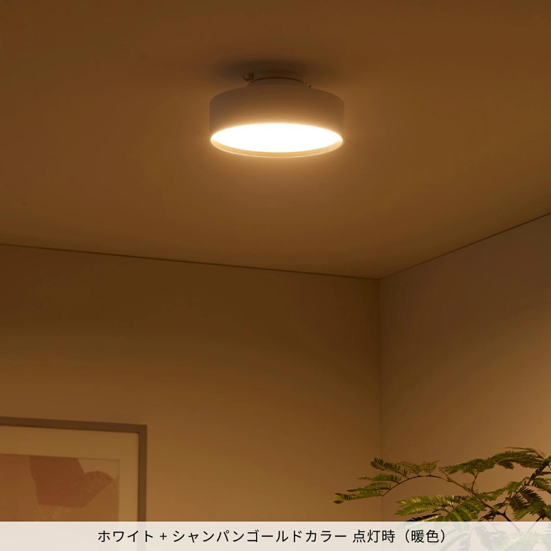 新品未使用 アートワークスタジオ Glow mini LED WH/CGDミニ