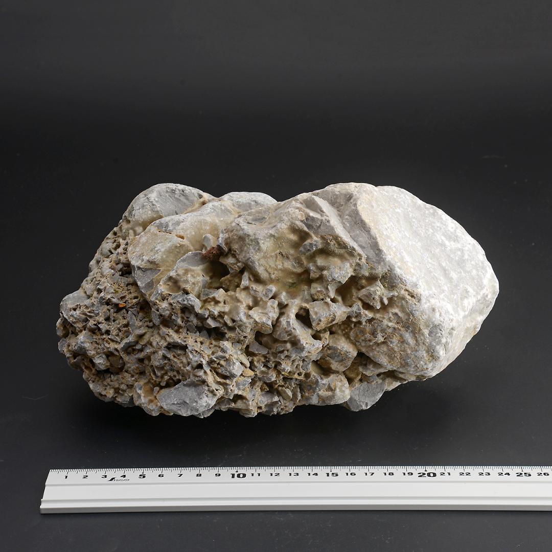 さざれ石（石灰質角礫岩 W26.2cm/D16.5cm/H13.4cm）071