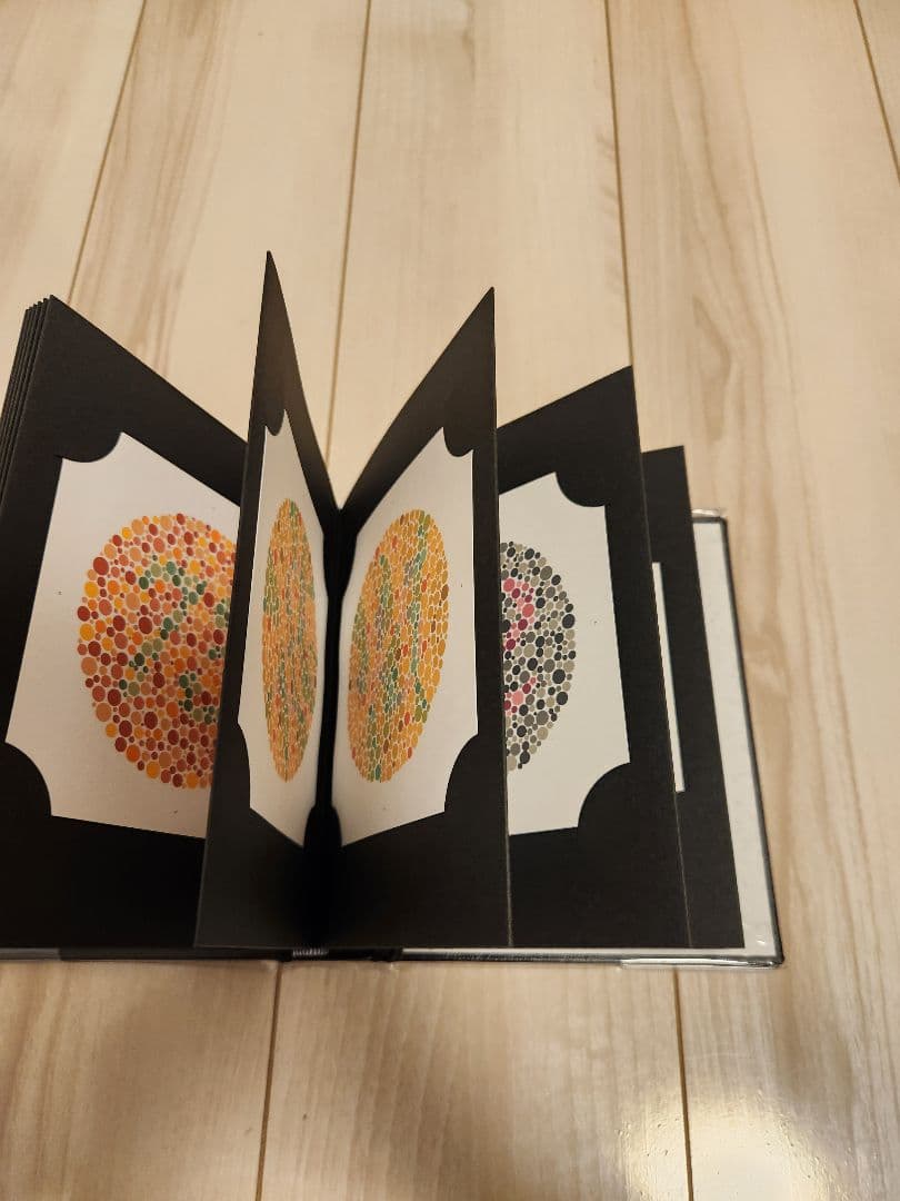 石原色覚検査表Ⅱ　国際版38表