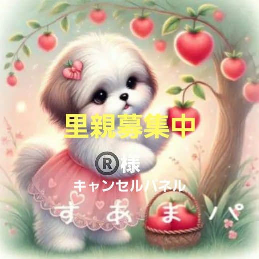 わんちゃん　パネル　里親募集中⑦　ハンドメイド　オーダー受付ページ