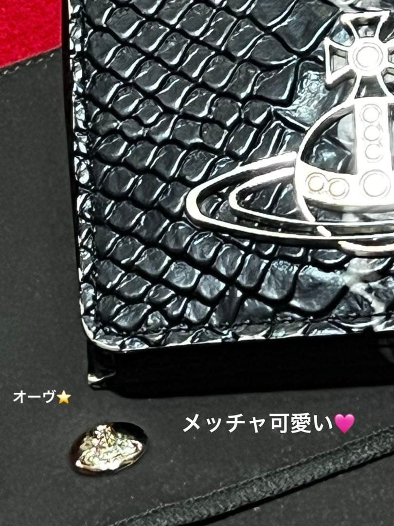 Vivienne Westwood ❣️ 　　　　　　　　　　　希少⭐️ケース