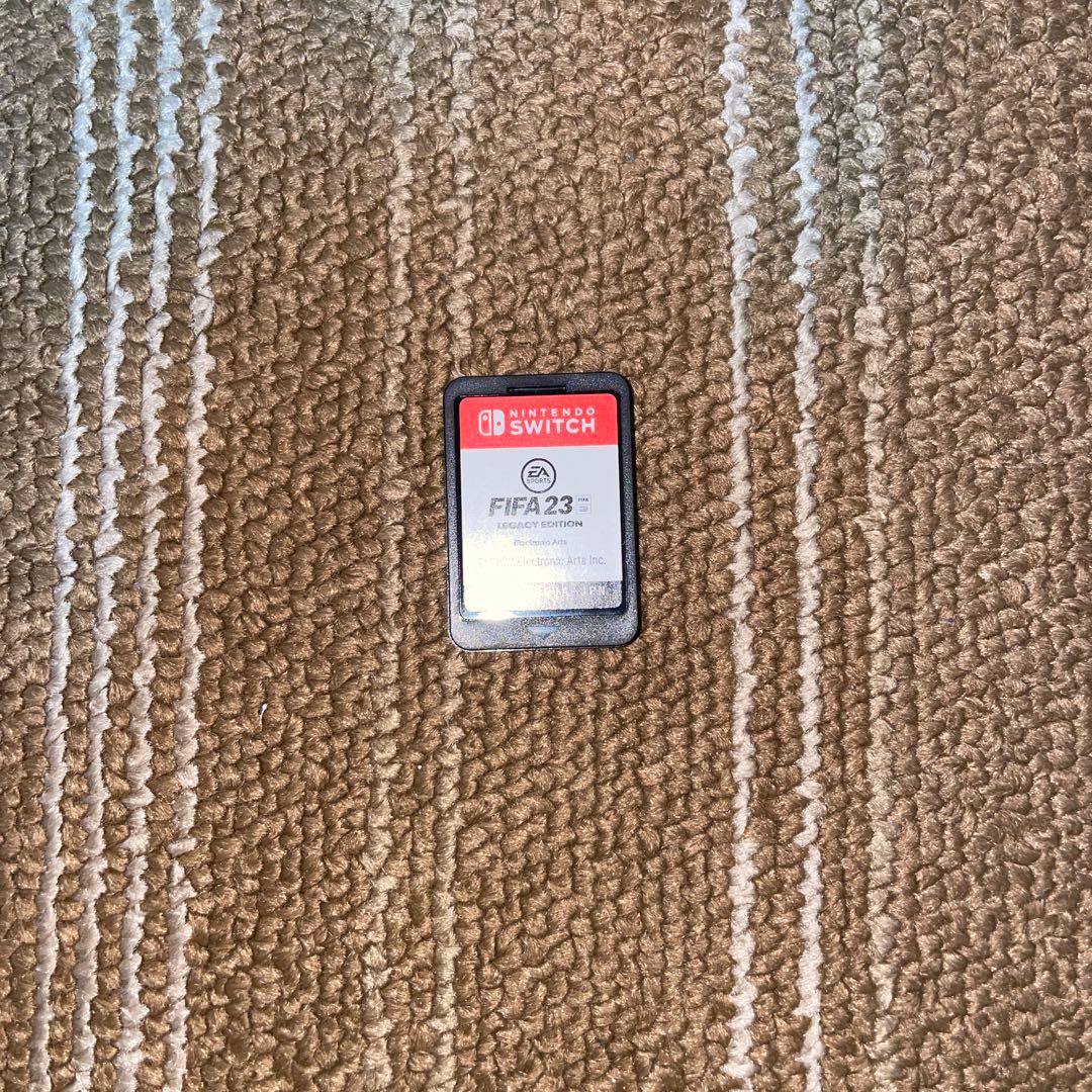 Nintendo Switch Lite グレー 本体のみ　FIFAカセット付き