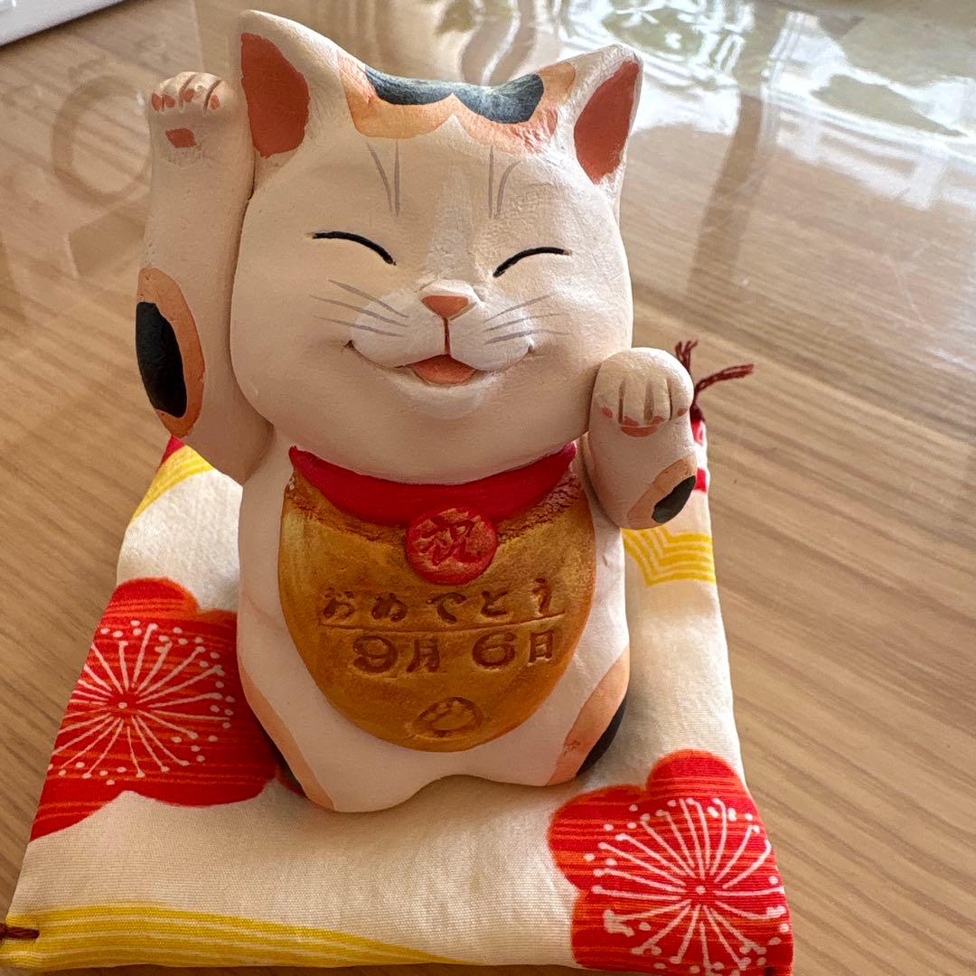 作家　もりわじん　マツコの知らない世界紹介　招き猫