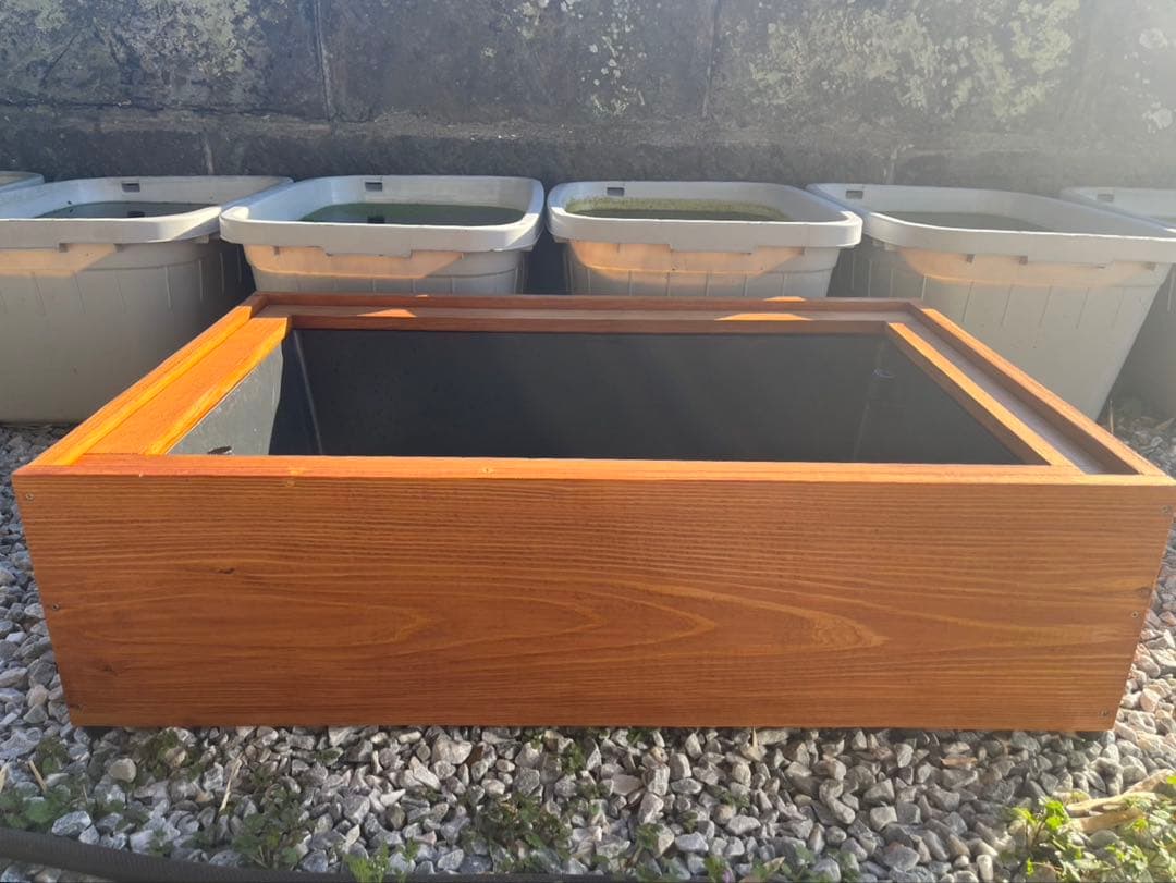 在庫限り⭐️【新品】60Lトロ舟と木枠のセット　めだか飼育ケース　ビオトープ