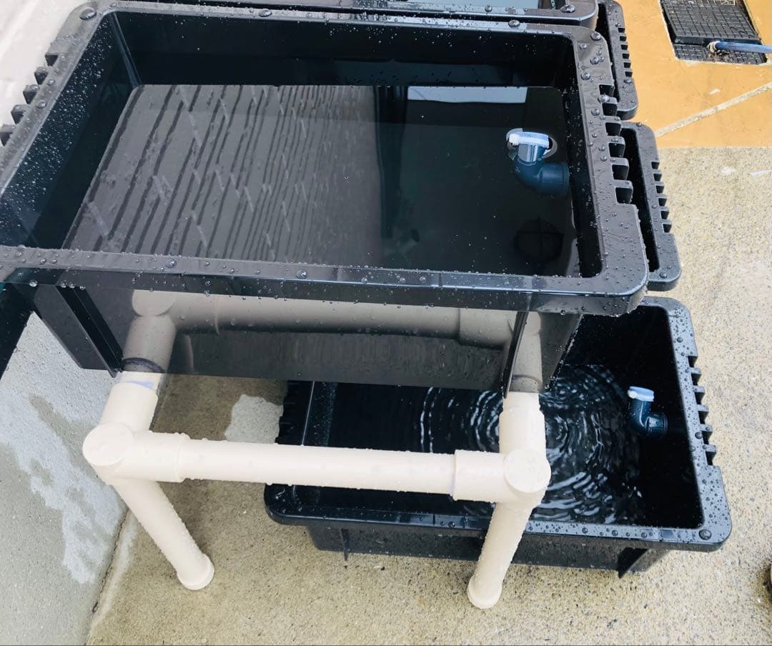 メダカ飼育ラック　ブラック　2段