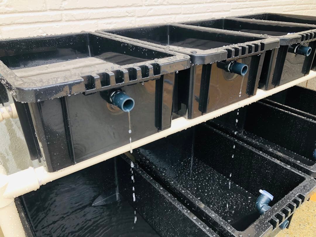 メダカ飼育ラック　ブラック　2段