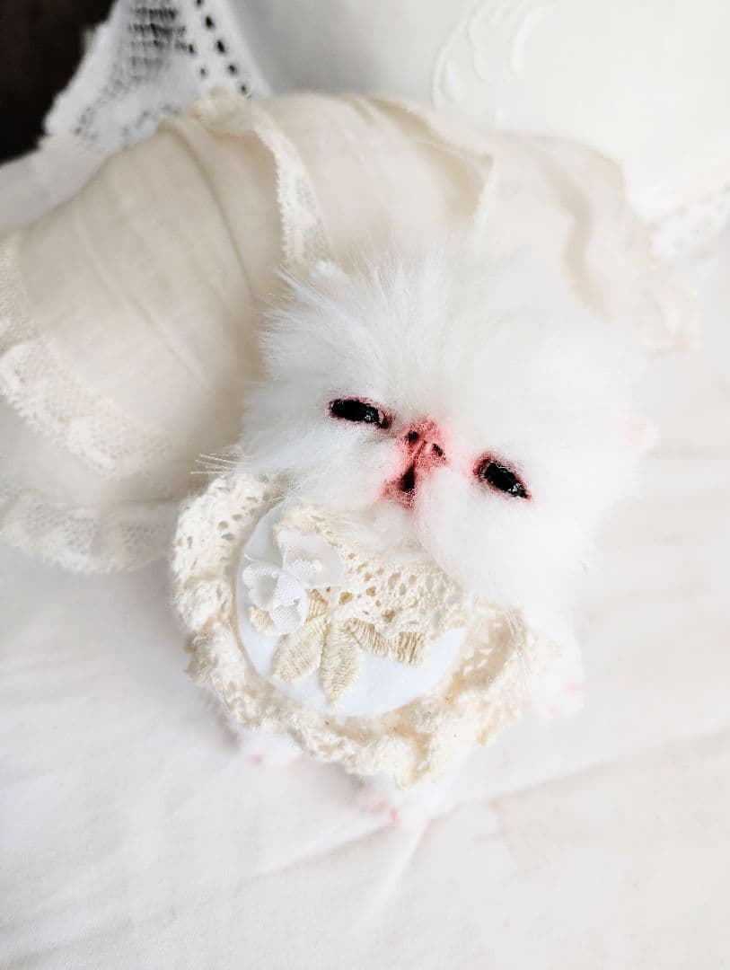 メルモちゃん❤オーダー❤ベビーフェネックちゃん♡お持たせ子猫ちゃん♡