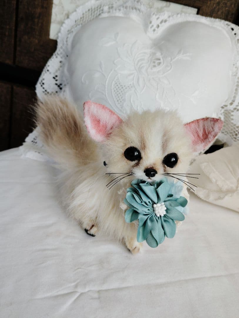 メルモちゃん❤オーダー❤ベビーフェネックちゃん♡お持たせ子猫ちゃん♡