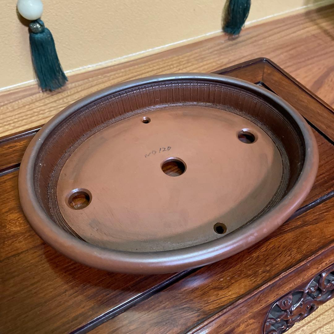 【落款有り】峰輝堂造 楕円鉢 盆栽鉢 盆栽小鉢 山野草鉢 植木鉢 小品【新品】