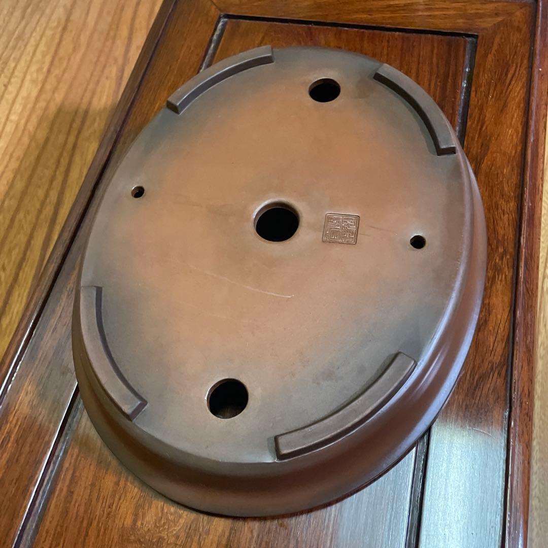 【落款有り】峰輝堂造 楕円鉢 盆栽鉢 盆栽小鉢 山野草鉢 植木鉢 小品【新品】