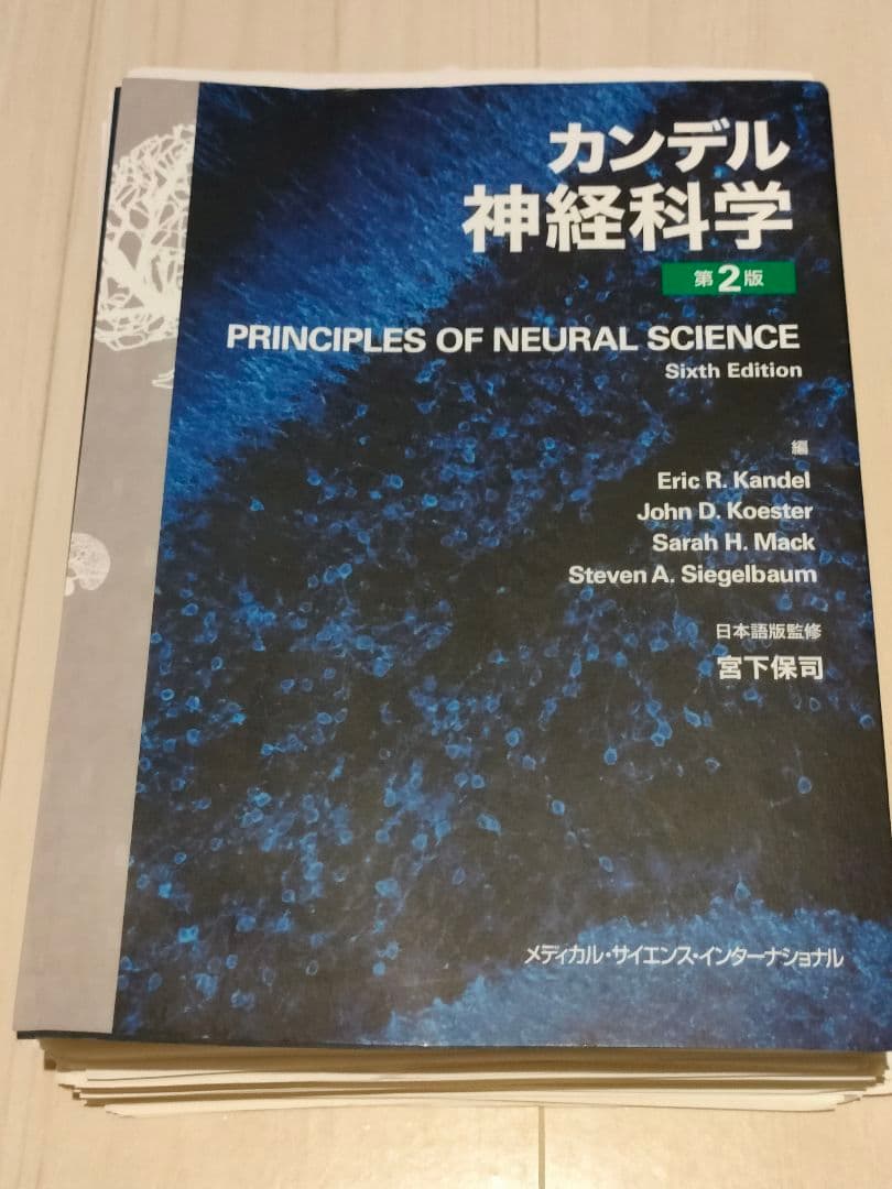 裁断済み カンデル神経科学 第2版