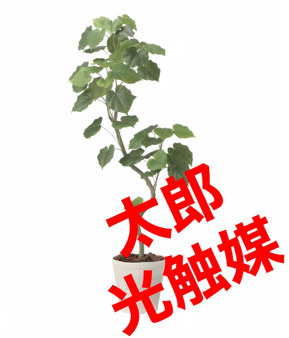 光触媒　人工観葉植物　フェイクグリーン　ツイストウンベラータ1.6