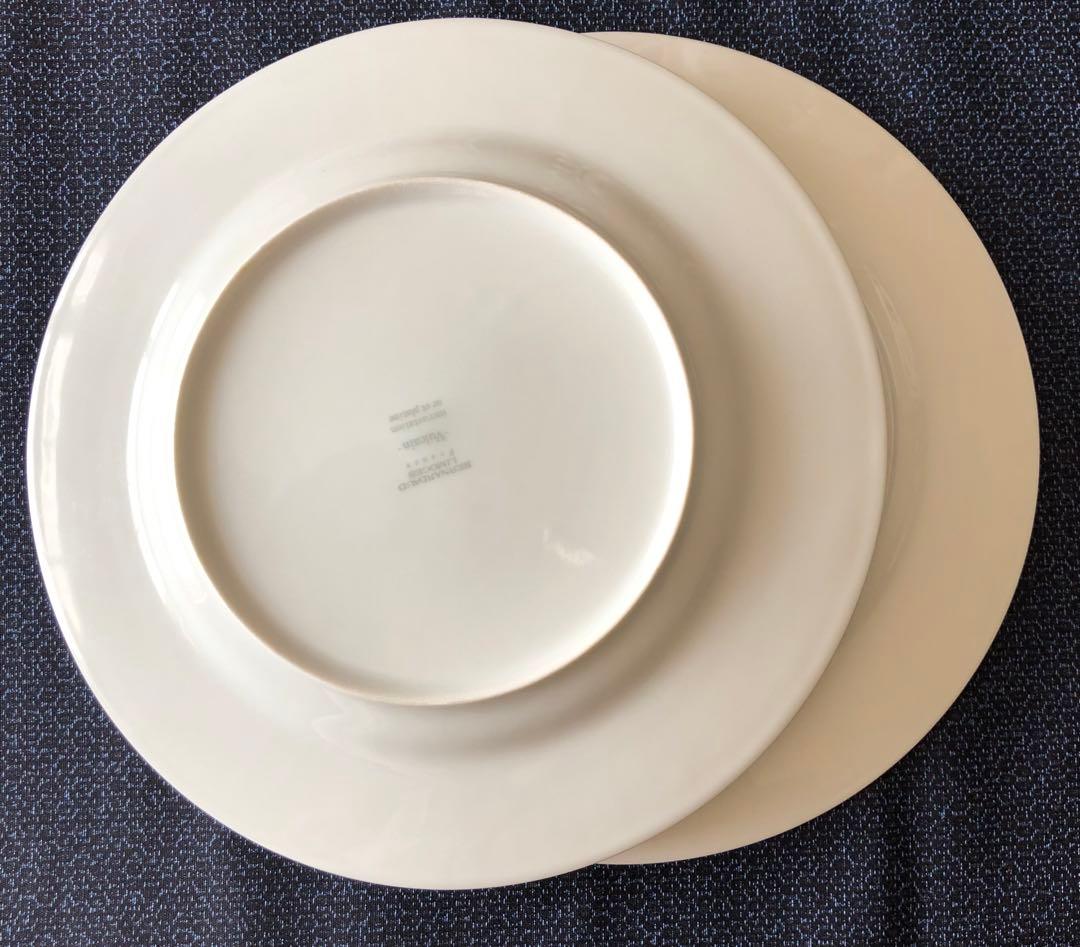 BERNARDAUDベルナルド　VALCAlN(ヴァルカン) 26cm2枚