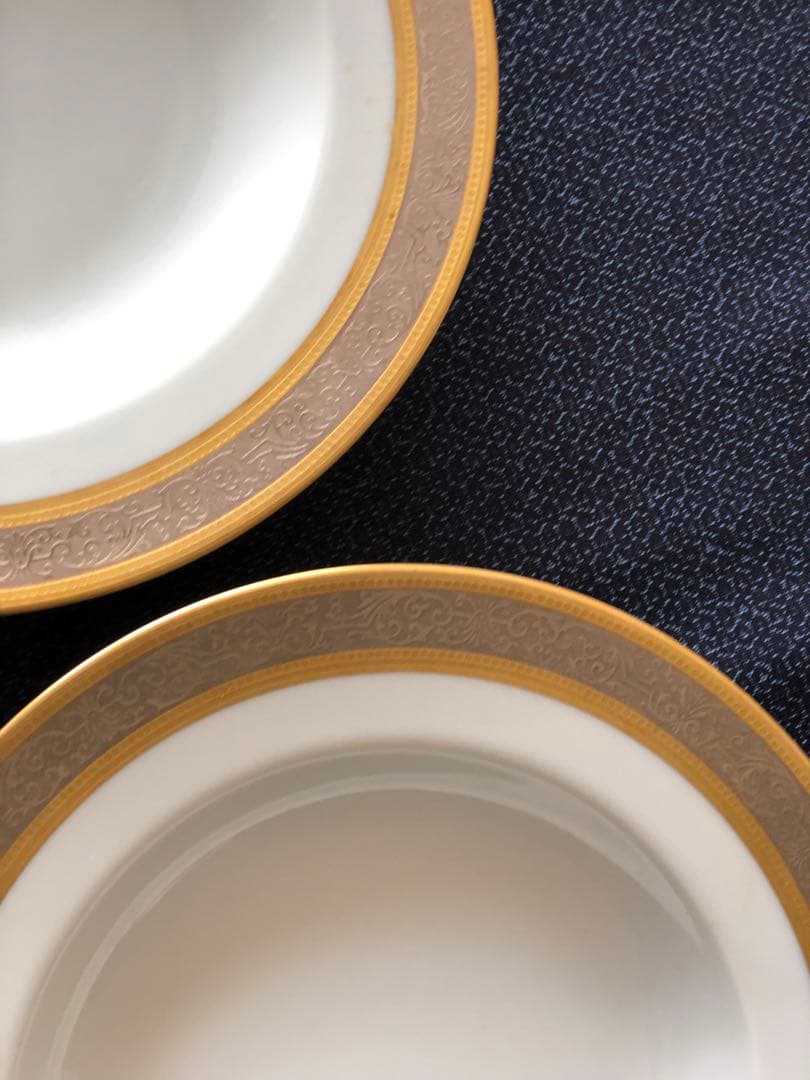 BERNARDAUDベルナルド　VALCAlN(ヴァルカン) 26cm2枚