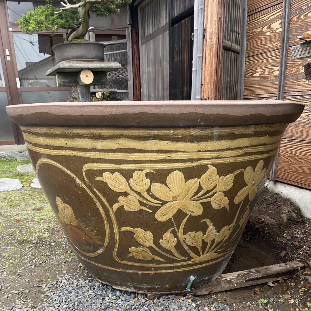 水鉢 睡蓮鉢 超大型 花模様