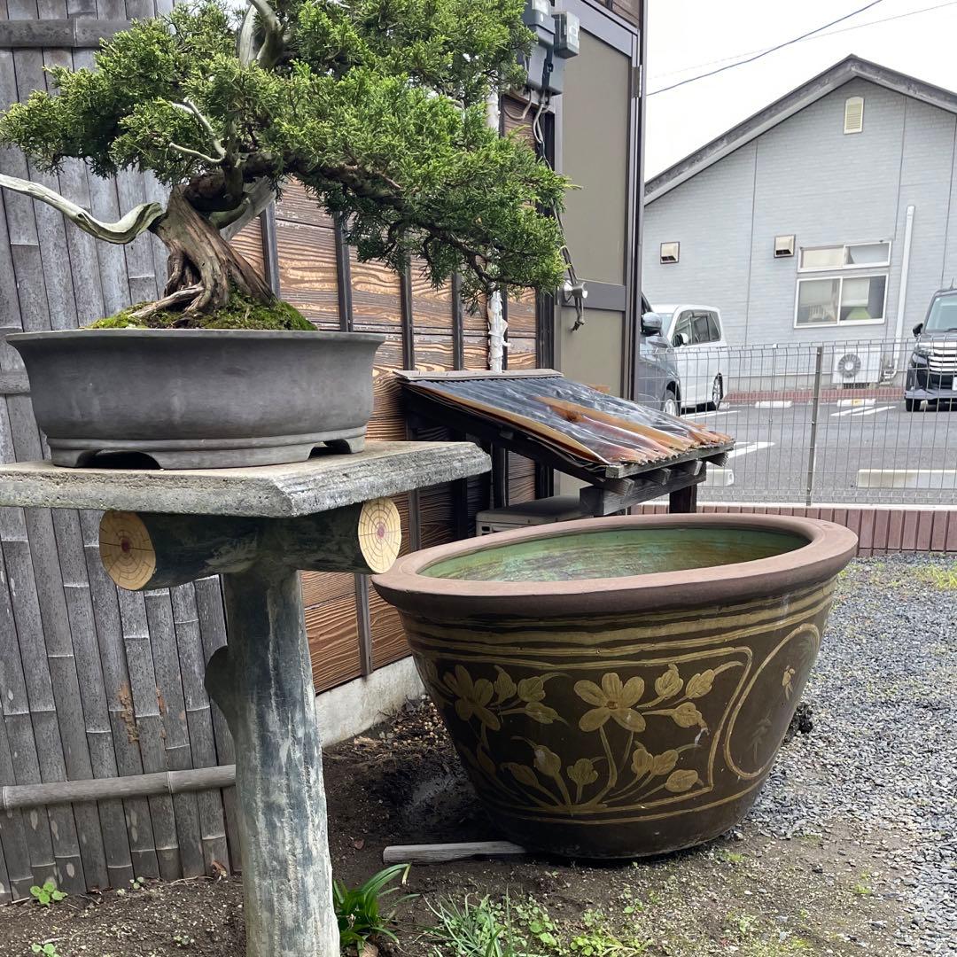 水鉢 睡蓮鉢 超大型 花模様