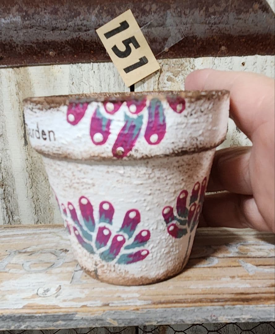 ふうみん様♥♥♥専用です。151 2.5号位のリメ鉢