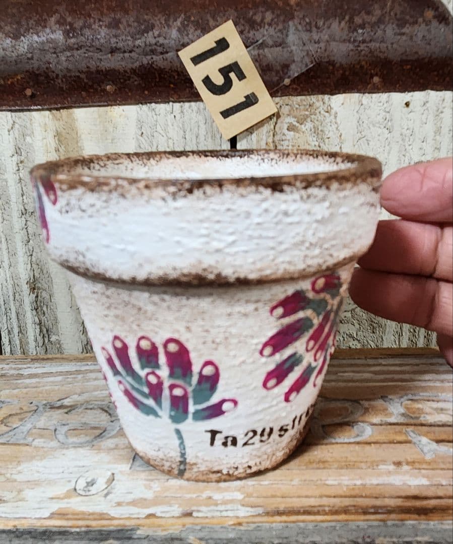 ふうみん様♥♥♥専用です。151 2.5号位のリメ鉢