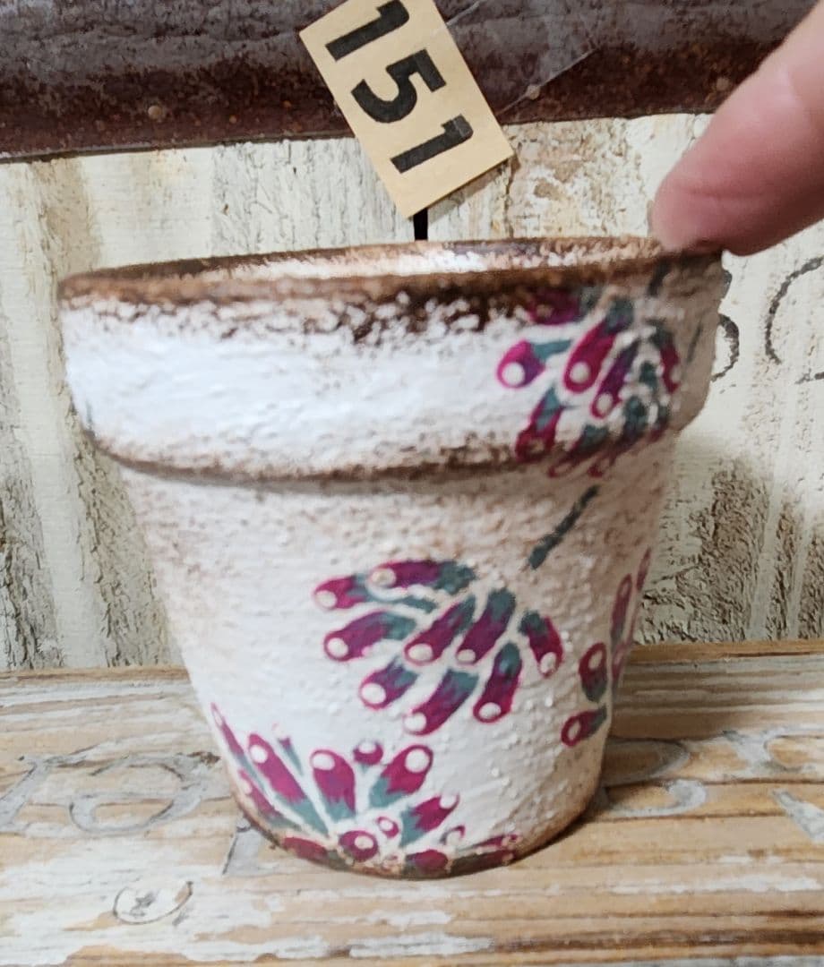 ふうみん様♥♥♥専用です。151 2.5号位のリメ鉢