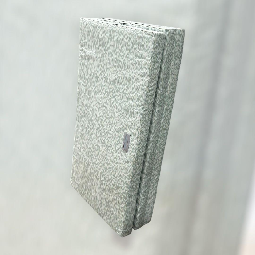 8738.ロマンス小杉 ロマンスエコー マットレス ハード シングル