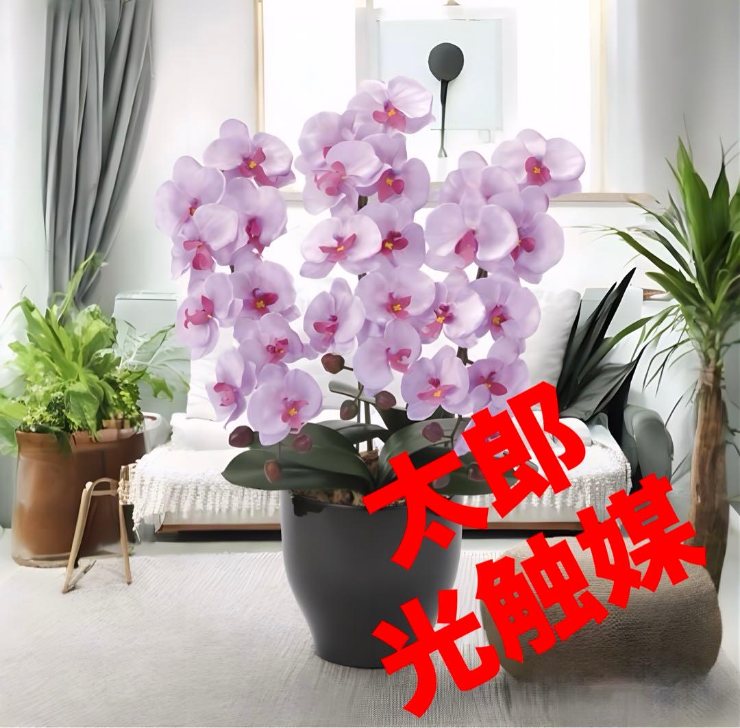 光触媒　人工観葉植物　ウォールグリーン　フェイクグリーン 胡蝶蘭セリースL