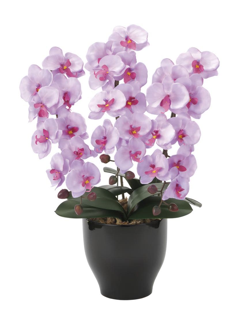 光触媒　人工観葉植物　ウォールグリーン　フェイクグリーン 胡蝶蘭セリースL