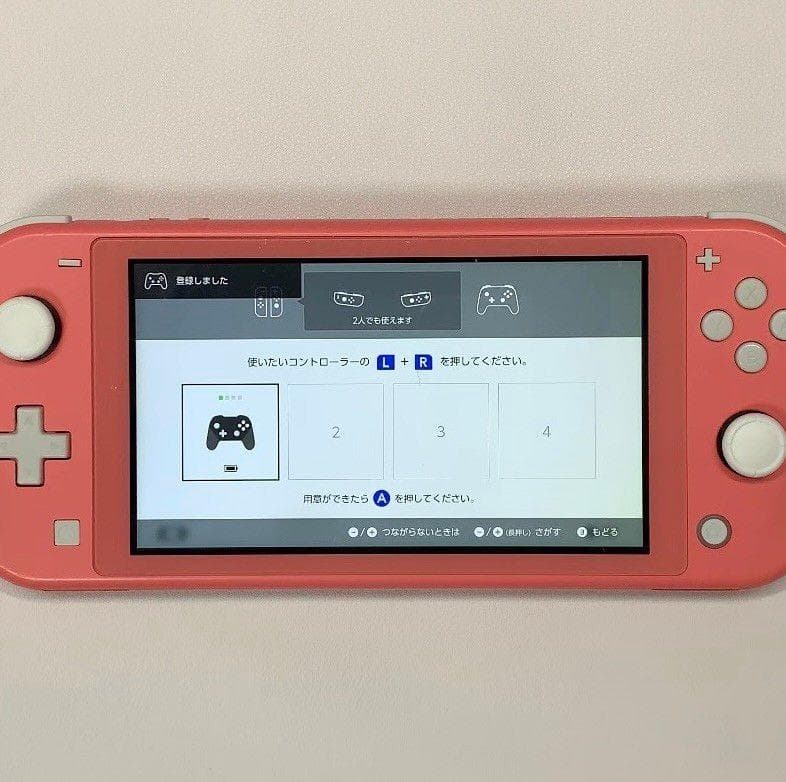 Nintendo Switch Lite 本体 動作品 2020