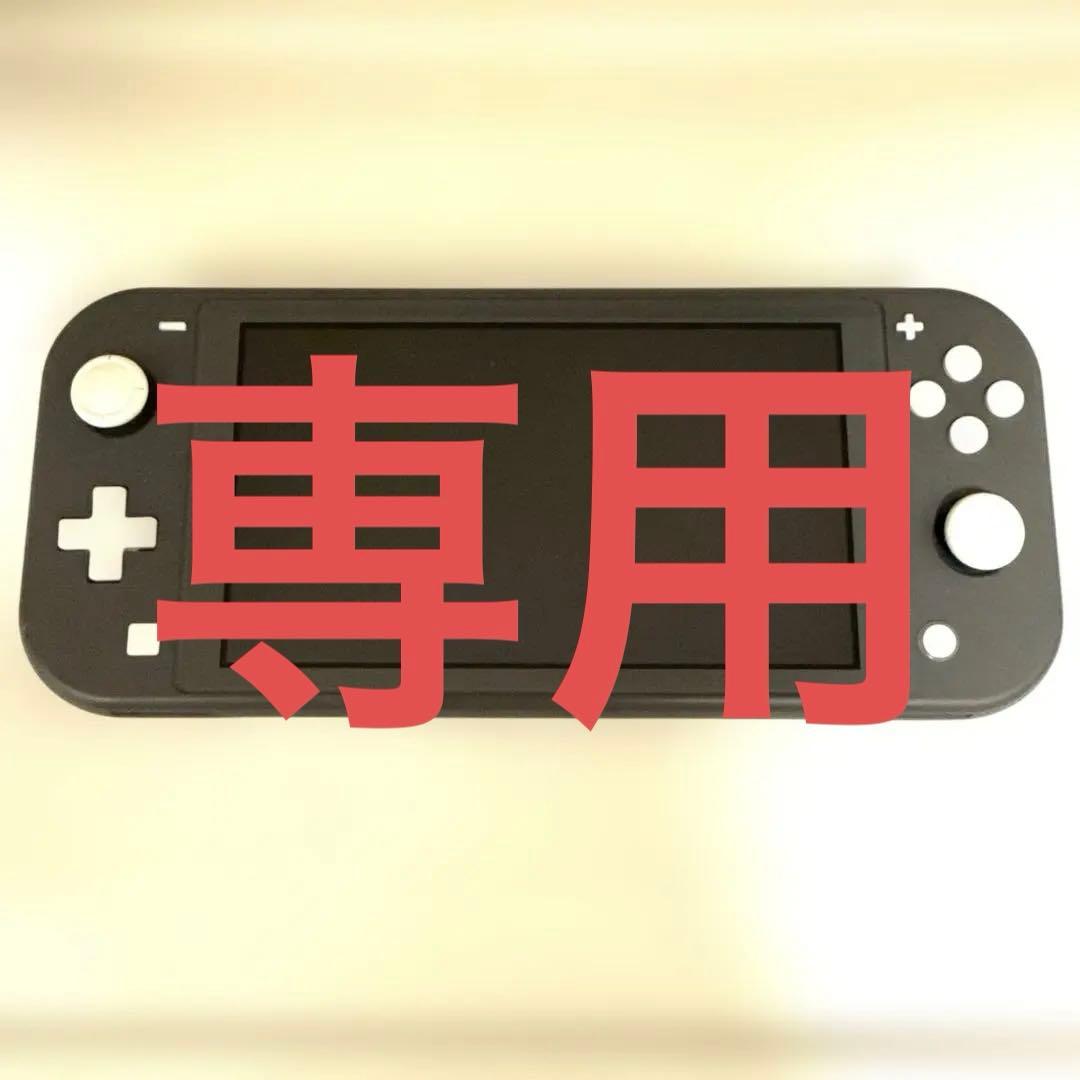 専用　Nintendo Switch Lite グレー 本体 ACアダプター付き