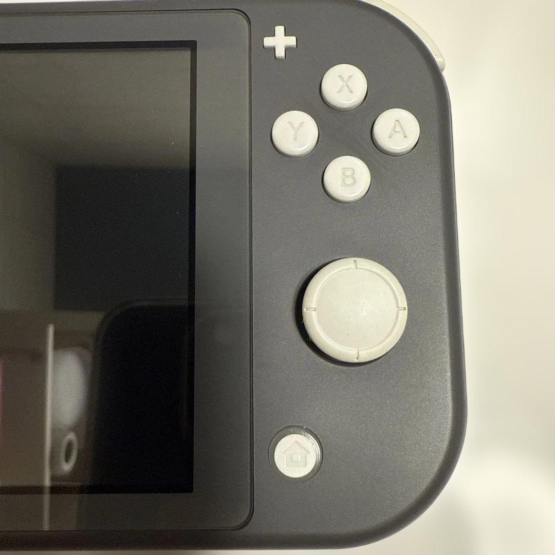 専用　Nintendo Switch Lite グレー 本体 ACアダプター付き