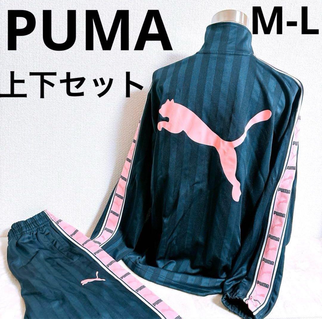 【PUMA】ジャージ　上下　スポーツウェア　ネイビー×ピンク　レディース L相当
