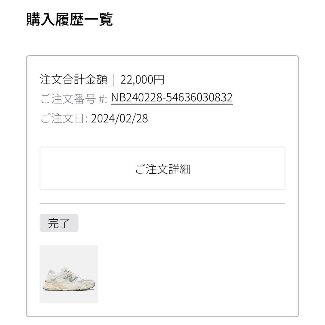 【正規品】new balance 9060 ホワイト ライトグレー