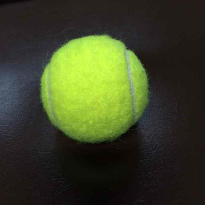 テニスボール(交渉余地あり)