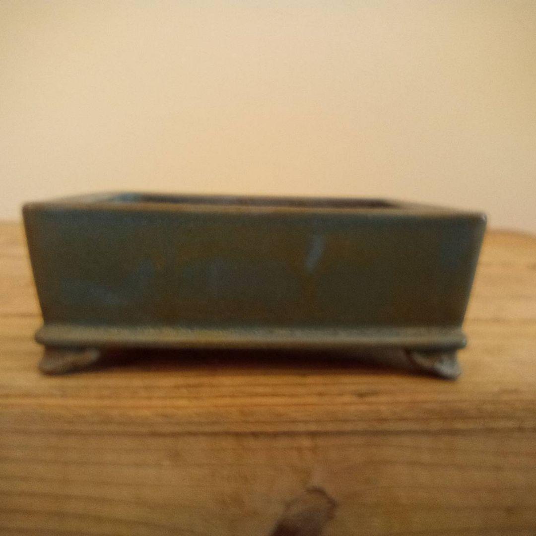 盆栽　平安香山鉢　鉢寸法11.3×3.8×4.3