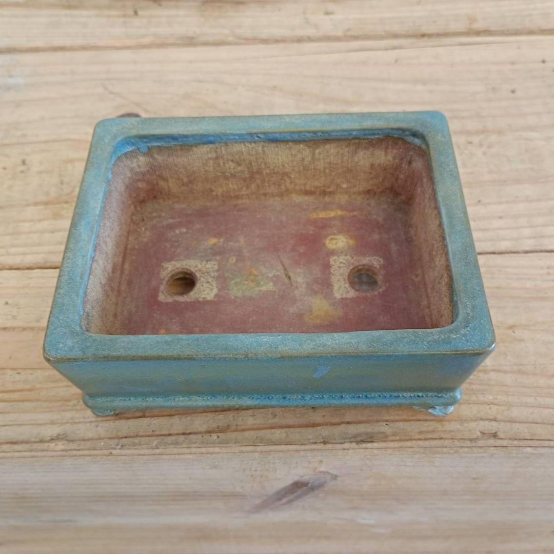 盆栽　平安香山鉢　鉢寸法11.3×3.8×4.3