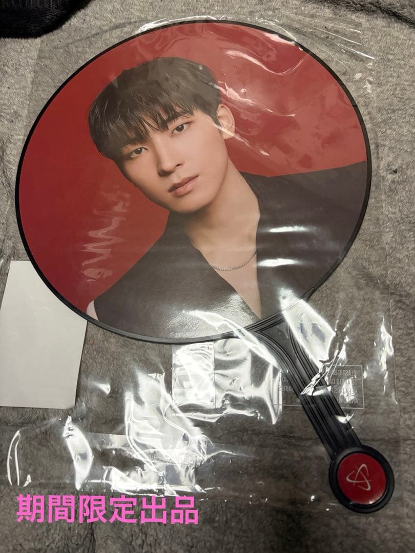 seventeen ウォヌ power of love うちわ