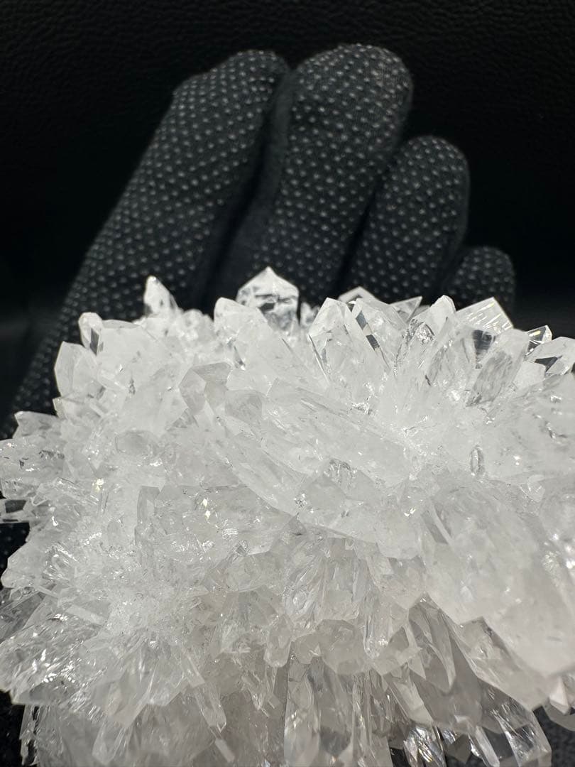 菊花水晶 クラスター 超美品 616