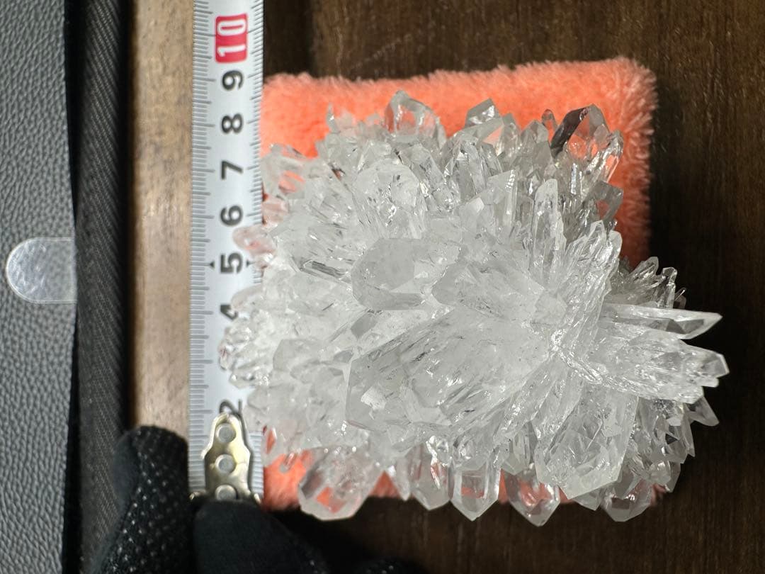菊花水晶 クラスター 超美品 616
