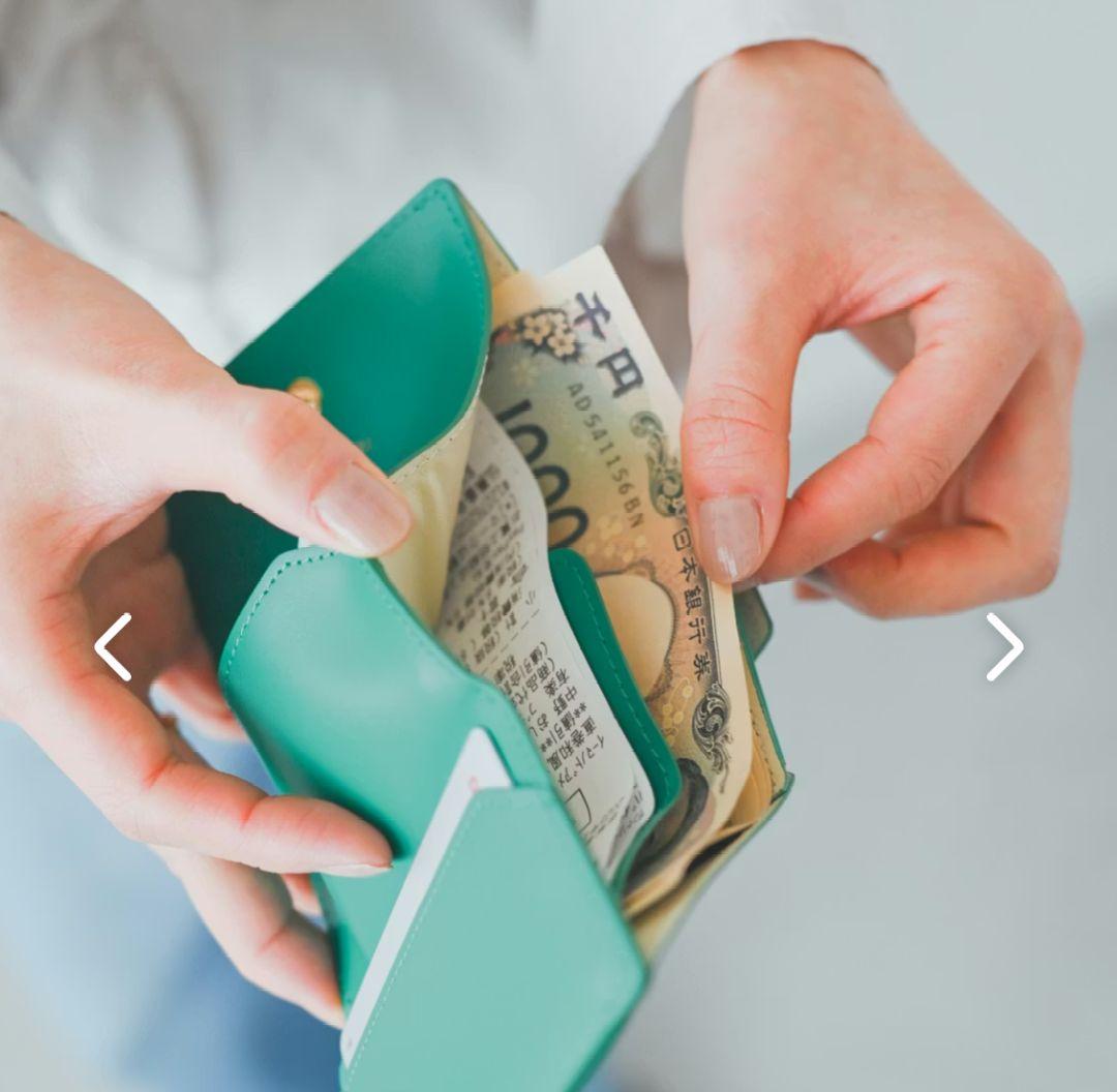 北欧暮らしの道具店　「小さく見えて収納上手」手のひらサイズの本革財布