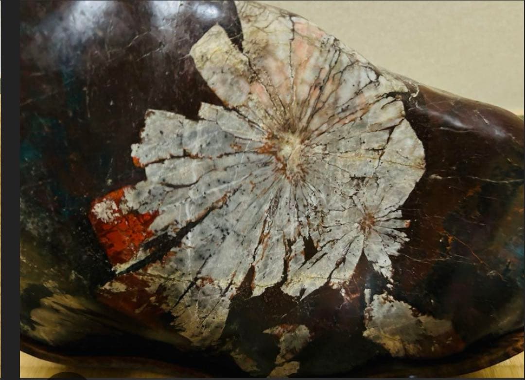 菊花石(岐阜県根尾谷)18.8㌔(台座含む)