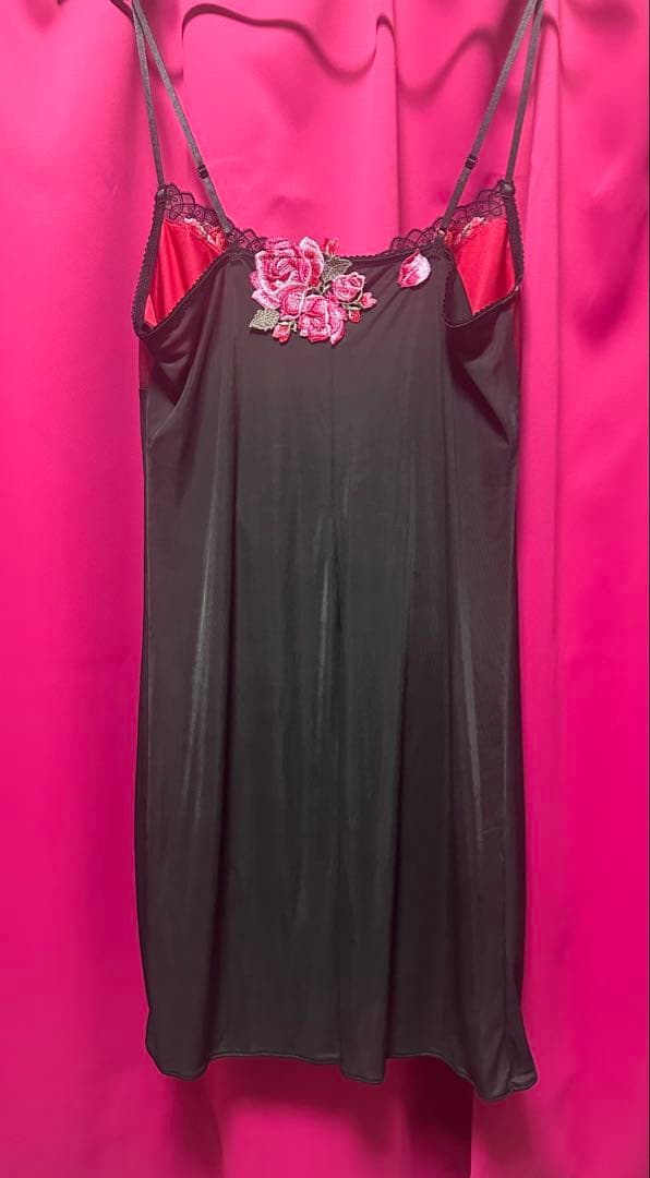 Wacoal サルート パキータ スリップ 壇蜜さん着用