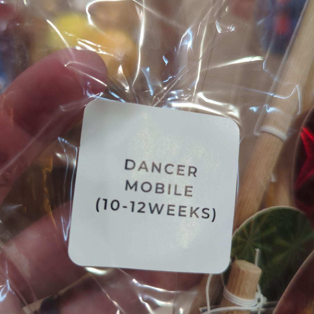 モンテッソーリモビール 13ピースセット