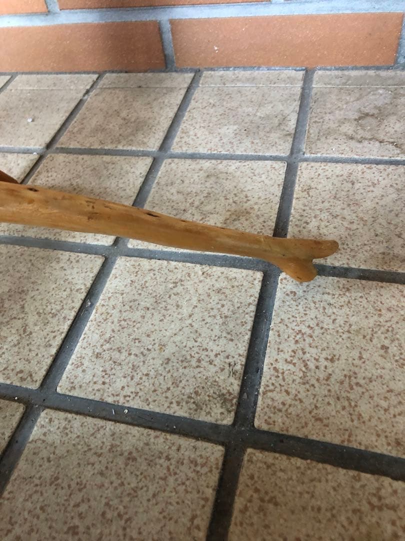 G 天然木　コーヒーテーブル　ヴィンテージ　木製　花台　フラワースタンド　レトロ