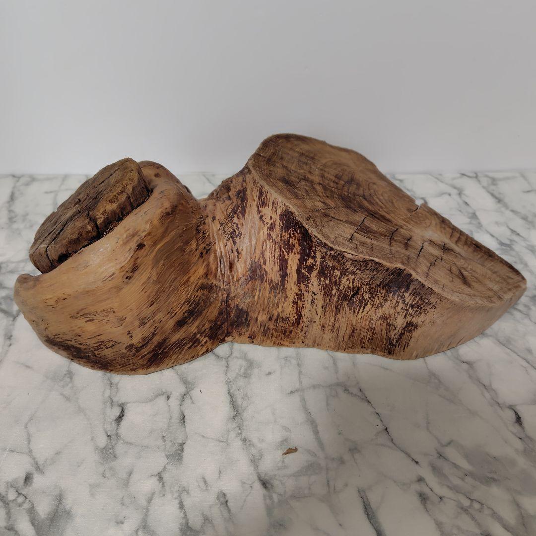 アク抜き済み流木【869】