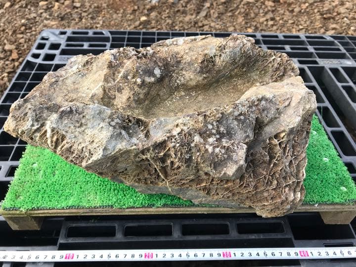 京の銘石　加茂七石『賎機糸掛石』(溜まり石)